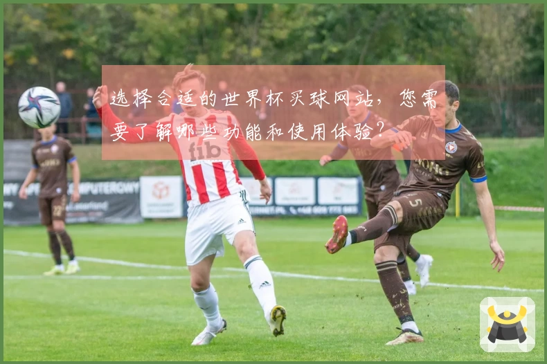 选择合适的世界杯买球网站，您需要了解哪些功能和使用体验？
