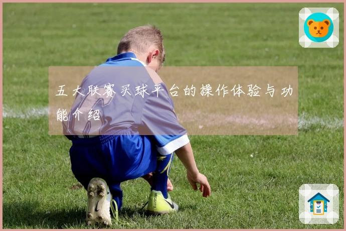 五大联赛买球平台的操作体验与功能介绍