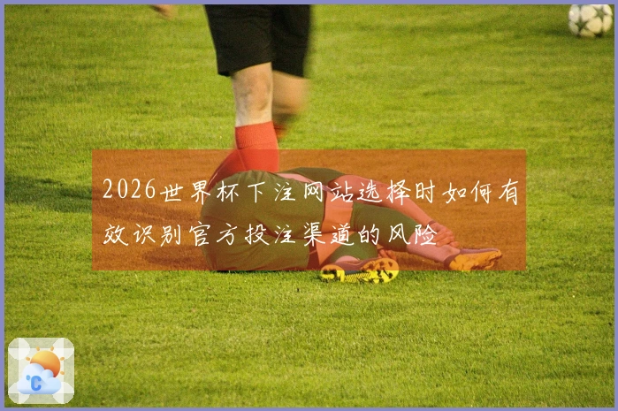 2026世界杯下注网站选择时如何有效识别官方投注渠道的风险