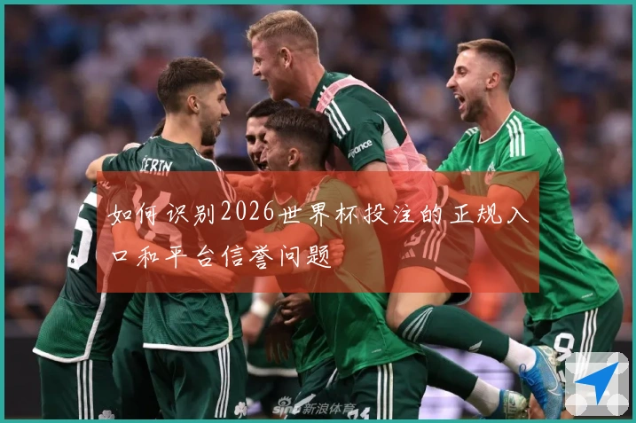 如何识别2026世界杯投注的正规入口和平台信誉问题