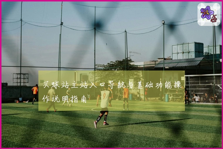 买球站主站入口导航与基础功能操作说明指南