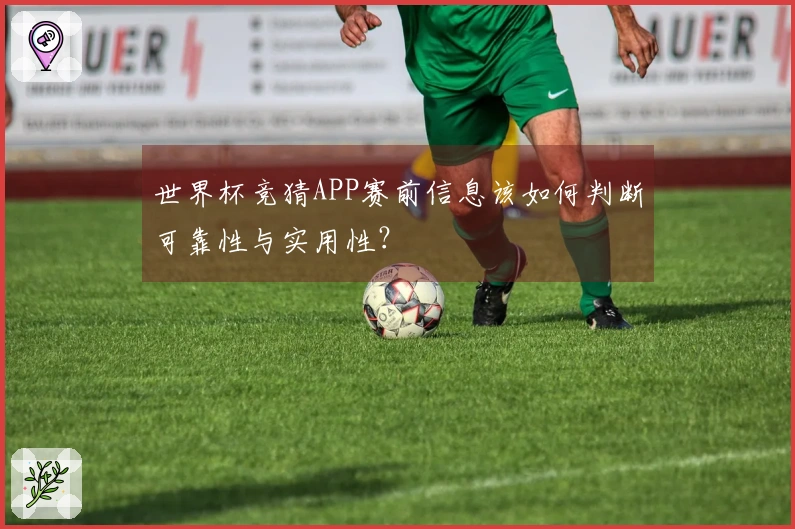世界杯竞猜APP赛前信息该如何判断可靠性与实用性？