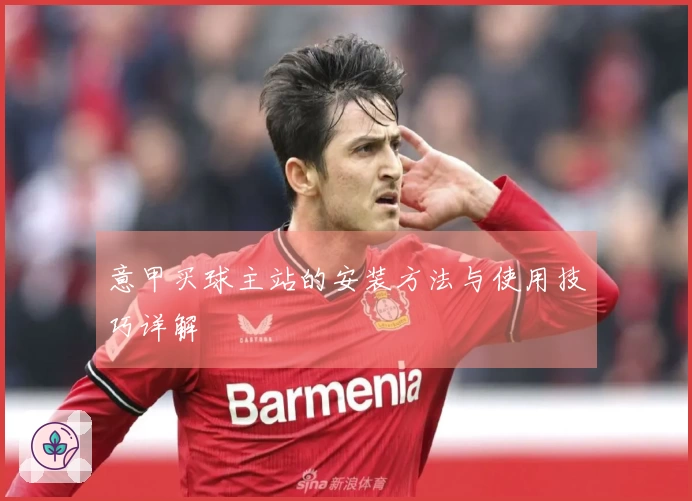 意甲买球主站的安装方法与使用技巧详解