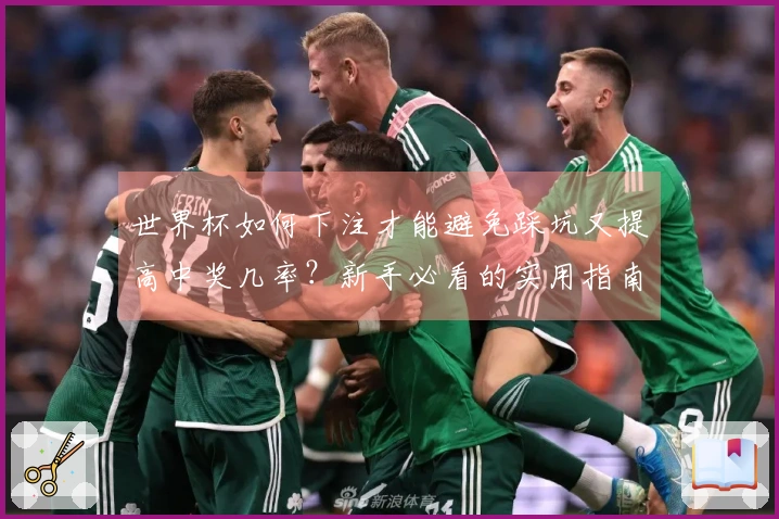 世界杯如何下注才能避免踩坑又提高中奖几率？新手必看的实用指南
